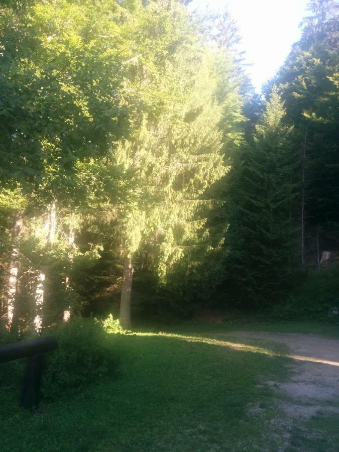 Abetina Appartement Levico Terme Buitenkant foto